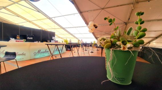 Jeudi – Ambiance – Veronica Silva (17)