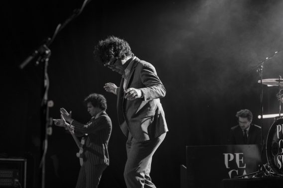 pegasus @joshua richter (3)